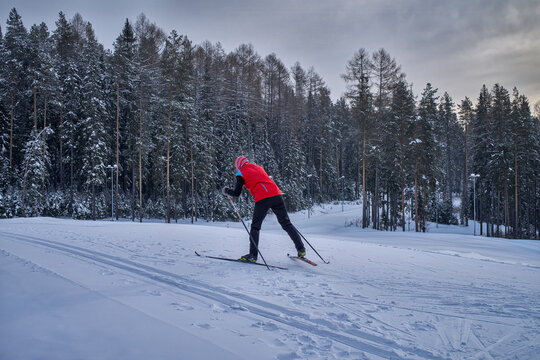 Cross-Country Skiing in Snowy Forest at Dusk