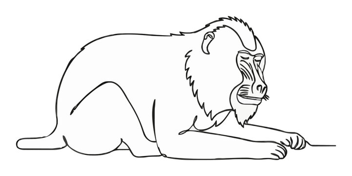 Mandrill baboon sleeping line art vector illustration. Generative AI