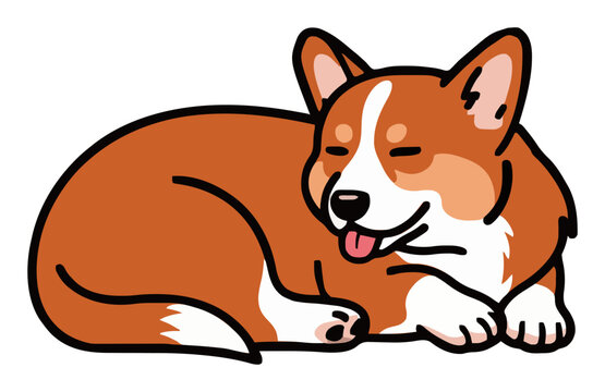 Corgi dog sleeping isolated on white background. Generative AI