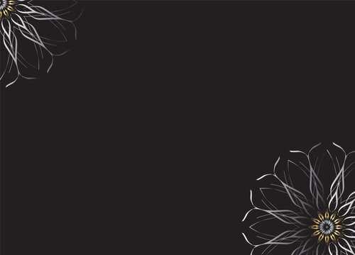 Monochrome Abstract Flower Petals with Black Background