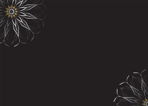 Monochrome Abstract Flower Petals with Black Background