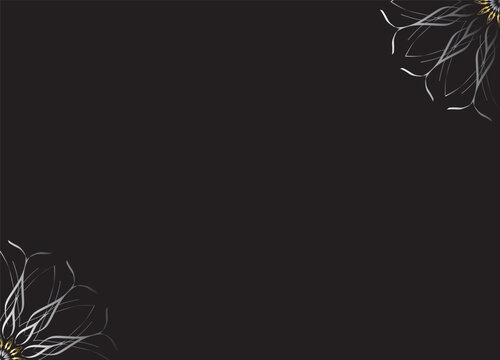 Monochrome Abstract Flower Petals with Black Background