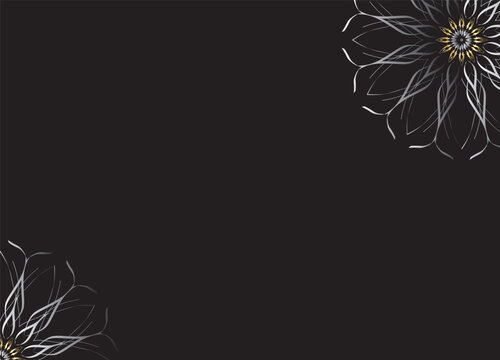 Monochrome Abstract Flower Petals with Black Background
