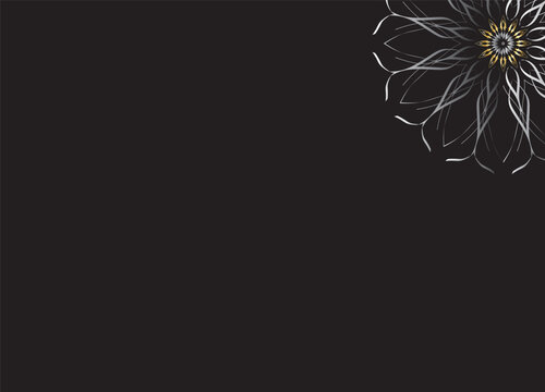 Monochrome Abstract Flower Petals with Black Background