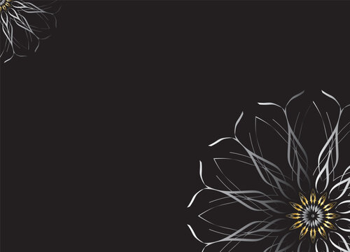 Monochrome Abstract Flower Petals with Black Background