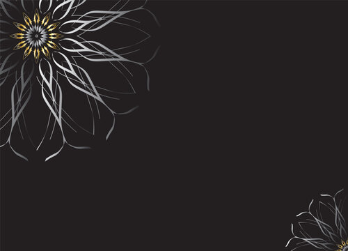 Monochrome Abstract Flower Petals with Black Background
