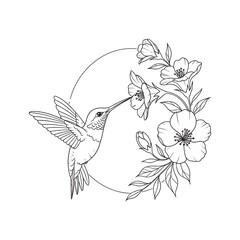 Minimalist hummingbird line art sipping nectar from blooming flowers inside a delicate circular botanical frame, featuring clean black outlines for tattoo, coloring book, and vector designs © Anlust