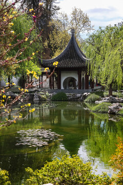 Chinese garden pavilion reflecting in pond at Huntington Library