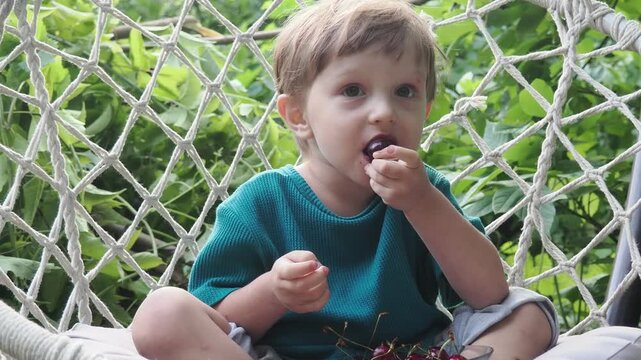 Cherry in kids mouth. Cherry fot kids. Happy kid eating ripe, sweet, juicy, fresh cherries. Child holding cherries. Concept of healthy summer food.