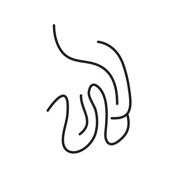 Human Penis Line Icon Vector ? Male Reproductive Organ Outline Symbol, Editable Stroke Anatomy Illustration.eps