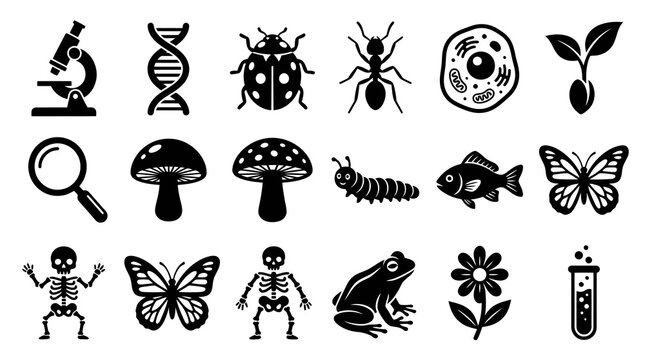 Biology Science Education Nature Glyph Icons Set. Black and White Solid Symbols Collection.