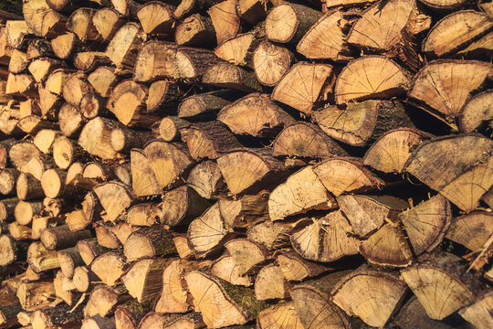 Outdoor shot of a stacked pile of firewood with warm color. Energy, environment, nature
