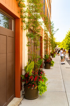 Bamboo and colorful planters lining a downtown sidewalk storefront