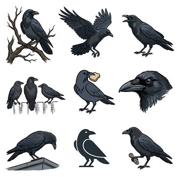 Collection of various cartoon illustrations of black crows in different poses and activities.