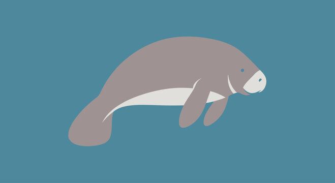 Manatee sea cow illustration on blue background