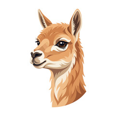 Obraz premium Cute Llama Head Portrait Vector Illustration