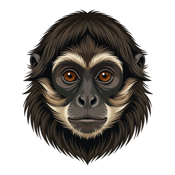Detailed Portrait Illustration of a Spider Monkey Face