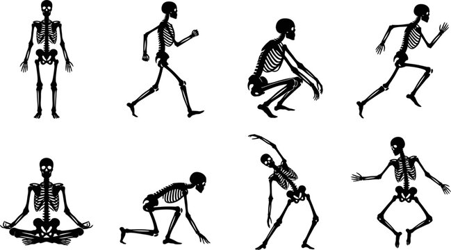Skeleton Activities Silhouette Bundle Halloween Human Bone Character Poses Walking Running Sitting Yoga Dancing Vector Clipart