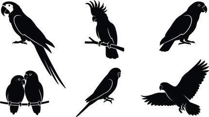 Tropical exotic parrots and jungle birds black silhouette icons set featuring macaw cockatoo lovebirds budgerigar parakeet isolated on white background © Rakib
