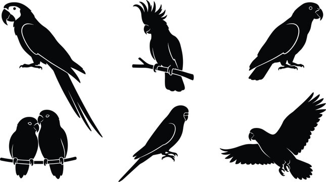 Tropical exotic parrots and jungle birds black silhouette icons set featuring macaw cockatoo lovebirds budgerigar parakeet isolated on white background