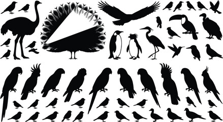 Wild birds and tropical parrots black silhouette icons mega set with eagle peacock ostrich toucan penguin heron sparrow isolated on white background © Rakib