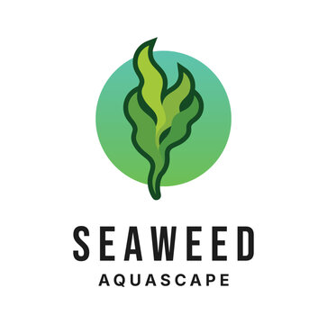 Seaweed Logo Design template Illustration Vector