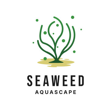 Seaweed Logo Design template Illustration Vector