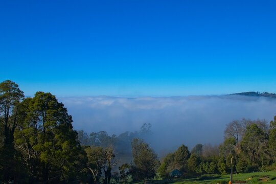 Morning Fog and Low Clouds over Yarra Valley Landscape