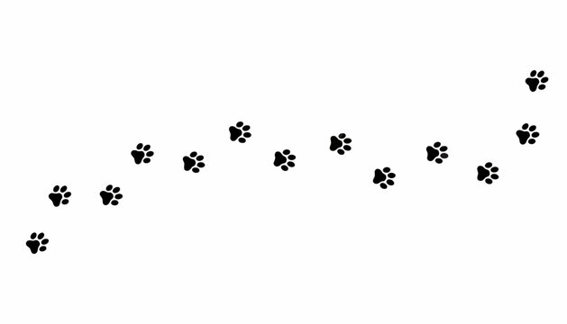 Paw prints form a diagonal trail across the frame in this clean and simple graphic design element.