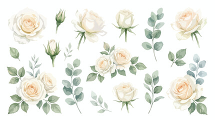 Watercolor white rose collection, elegant cream floral elements with eucalyptus leaves, romantic botanical vector set for wedding invitations © Noman