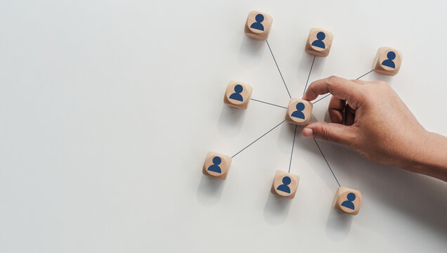 Business Delegation Strategy, Appointed Team Coordinator Managing Communication Flow Across Multiple Departments, Organizational Structure Showing Centralized Leadership, Responsibility Distribution