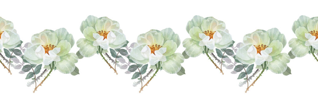 Watercolor seamless border with flower dog rose on white background. Hand-drawn summer branch with green leaves and wild rose hip. Botanical nature sticker or tea. Wallpaper wrapping or kitchen rim
