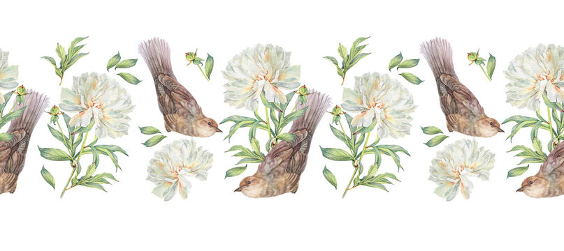 Watercolor seamless border with milk peony and bird nightingale on white background. Hand-drawn floral plant with leaves and animal. Rim for florist or wedding celebration. Wallpaper or wrapping