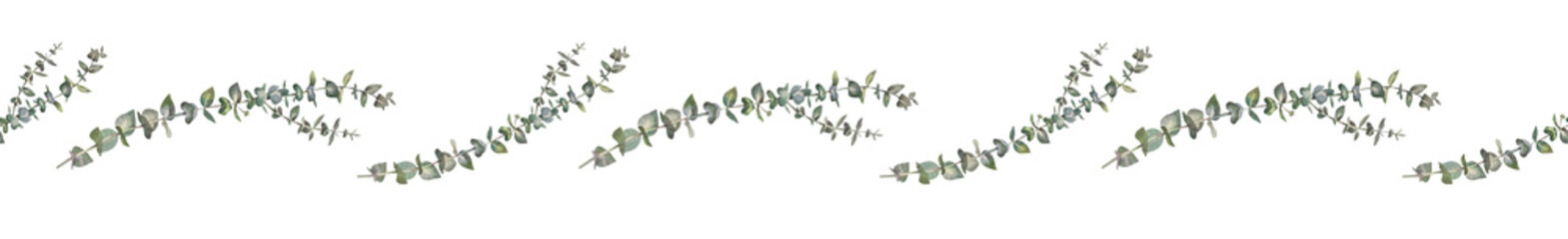 Seamless border with watercolor eucalyptus on white background. Hand-drawn botanical for wedding celebration. Green blue branch with leaves. Winter rim for wrapping or wallpaper and sketchbook © NatashaKun