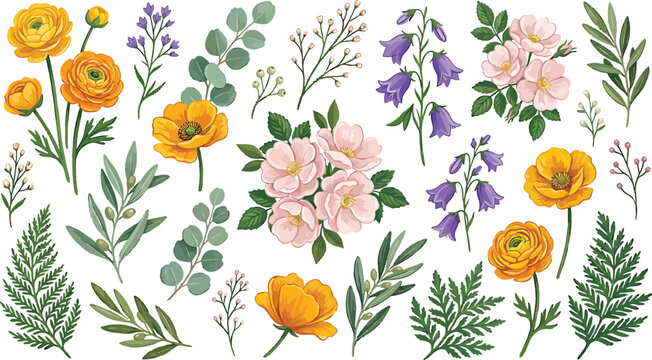 Watercolor floral collection with yellow ranunculus pink roses and blue bellflowers isolated on white background vector illustration