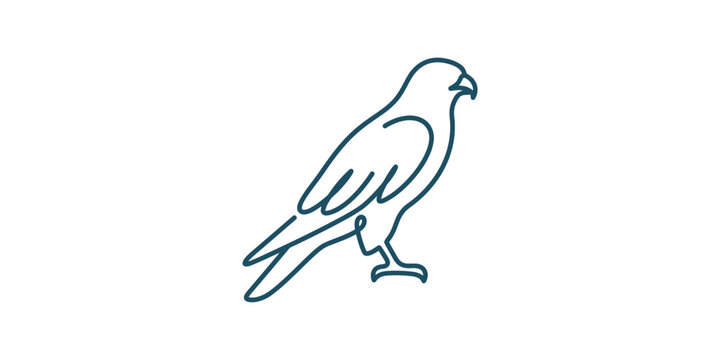 Minimalist continuous line drawing of a majestic falcon or eagle.