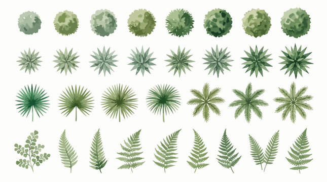 Watercolor landscape plan symbols, 32 green tree and plant top view icons, architectural garden design elements for site mapping and landscaping