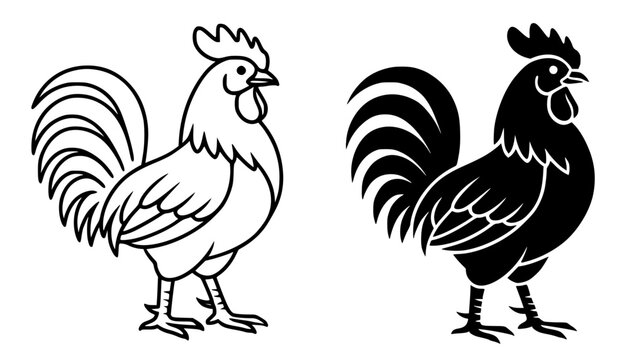 Minimalist rooster icon in outline and silhouette design