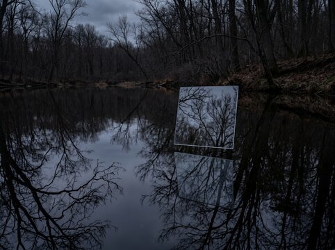Surreal Mirror Reflecting Trees in Dark Water.