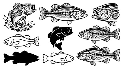 Obraz premium Collection of Bass Fish Illustrations in Various Styles and Poses.