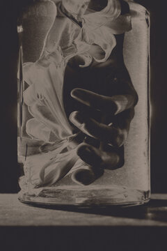 Fine art photograph of a woman&rsquo;s hand with Belladonna Lily flowers in water in a glass jar; monochrome, vintage aesthetic; surreal & ethereal mood, blending botanical elements with human presence.