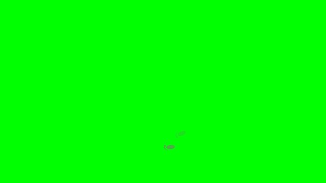 Footprints walking animation on green screen
