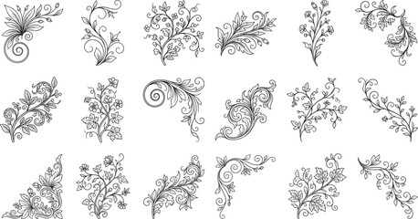 Fototapeta premium Elegant Botanical Flourish and Floral Ornament Vector Collection with Hand Drawn Decorative Elements