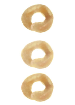 Illustration of three plain donuts in a watercolor style