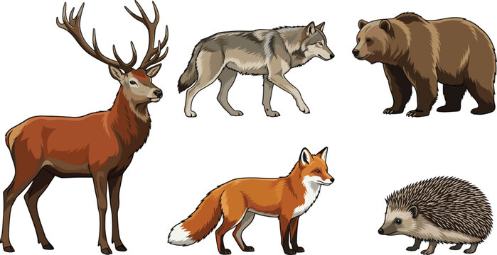 Forest animal vector set featuring realistic wild creatures including a red deer stag grey wolf brown grizzly bear fox and hedgehog