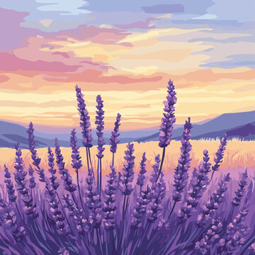 A serene lavender field at sunset, showcasing vibrant purple flowers against a colorful sky.