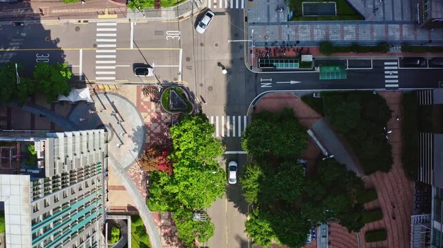 An aerial view of a busy urban road in Seoul with green trees lining the street and traffic visible from above.