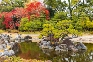 Fototapeta premium 日本の風景・秋 京都 世界遺産 紅葉の元離宮二条城 清流園