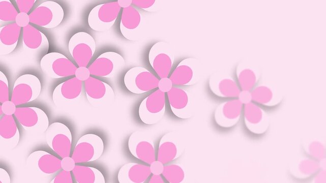 4k footage animation of Beautiful cherry blossom sakura popped wiggling illustration background isolated on pink pastel soft background
