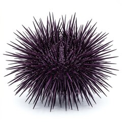 Obraz premium Close-up of a Spiky Sea Urchin with Sharp Spines on White Background.